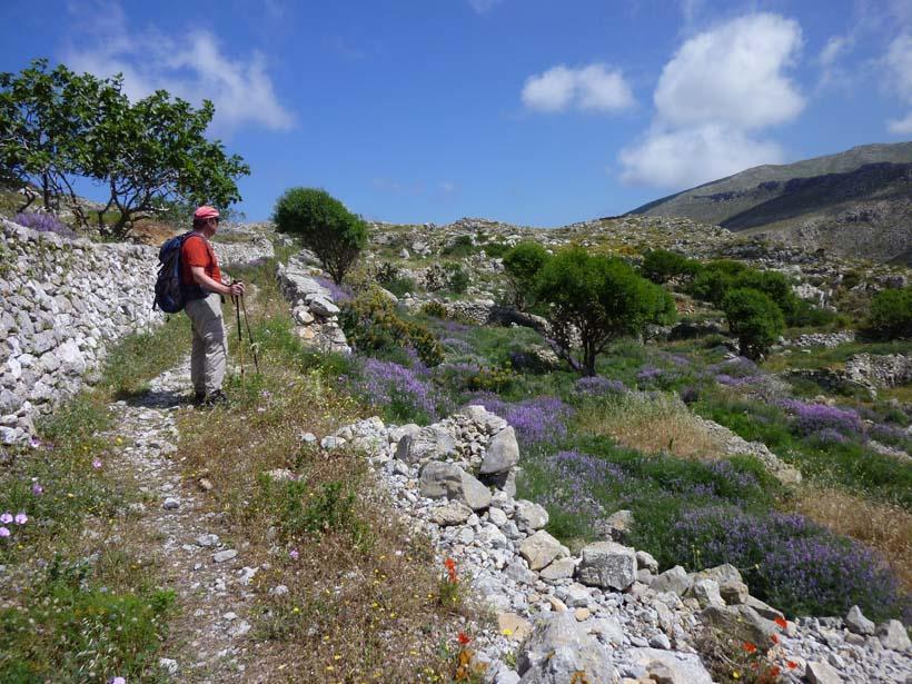 Dorana Apartments&Trekking Hotel Diafánion Buitenkant foto